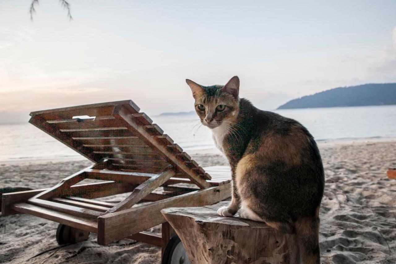 Swiss Cottage Tioman Kampong Ayer Batang Dış mekan fotoğraf