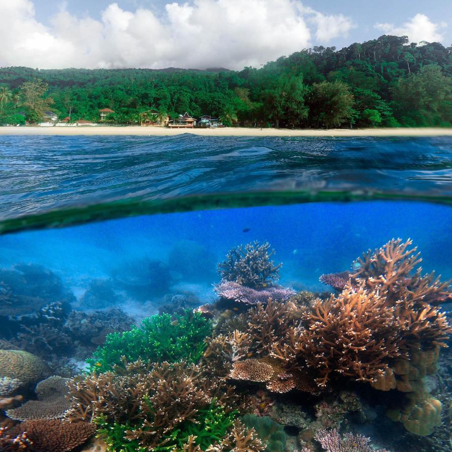 Swiss Cottage Tioman Kampong Ayer Batang Dış mekan fotoğraf