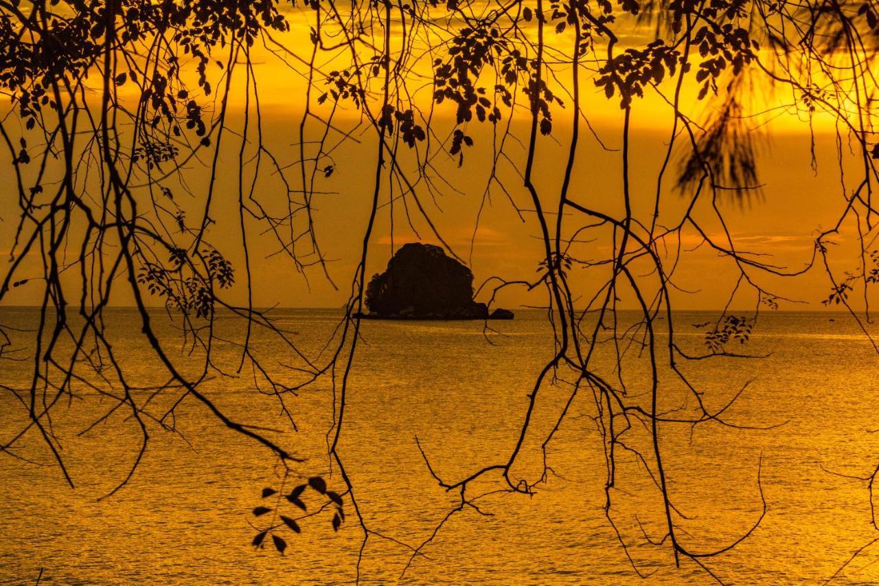 Swiss Cottage Tioman Kampong Ayer Batang Dış mekan fotoğraf